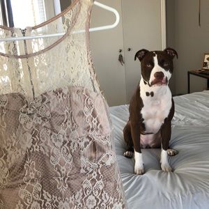 Vintage Style Lace Dress